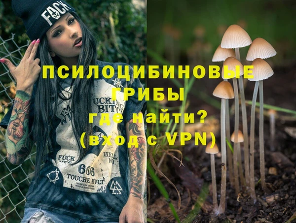 гидропоника Балахна