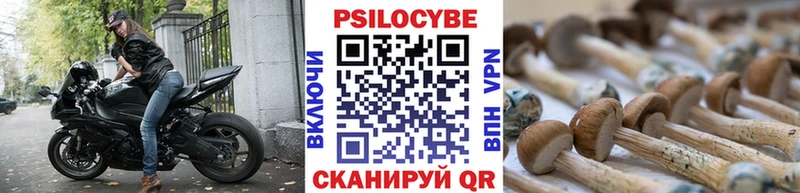 мориарти официальный сайт  OMG онион  Заинск  Псилоцибиновые грибы MAGIC MUSHROOMS 