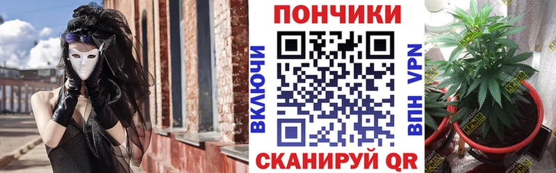 Бошки Шишки планчик  Заинск 